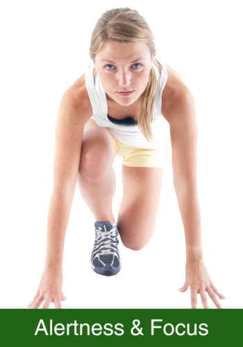 Alertness & Focus
