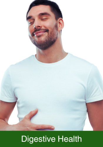 Digestive Health